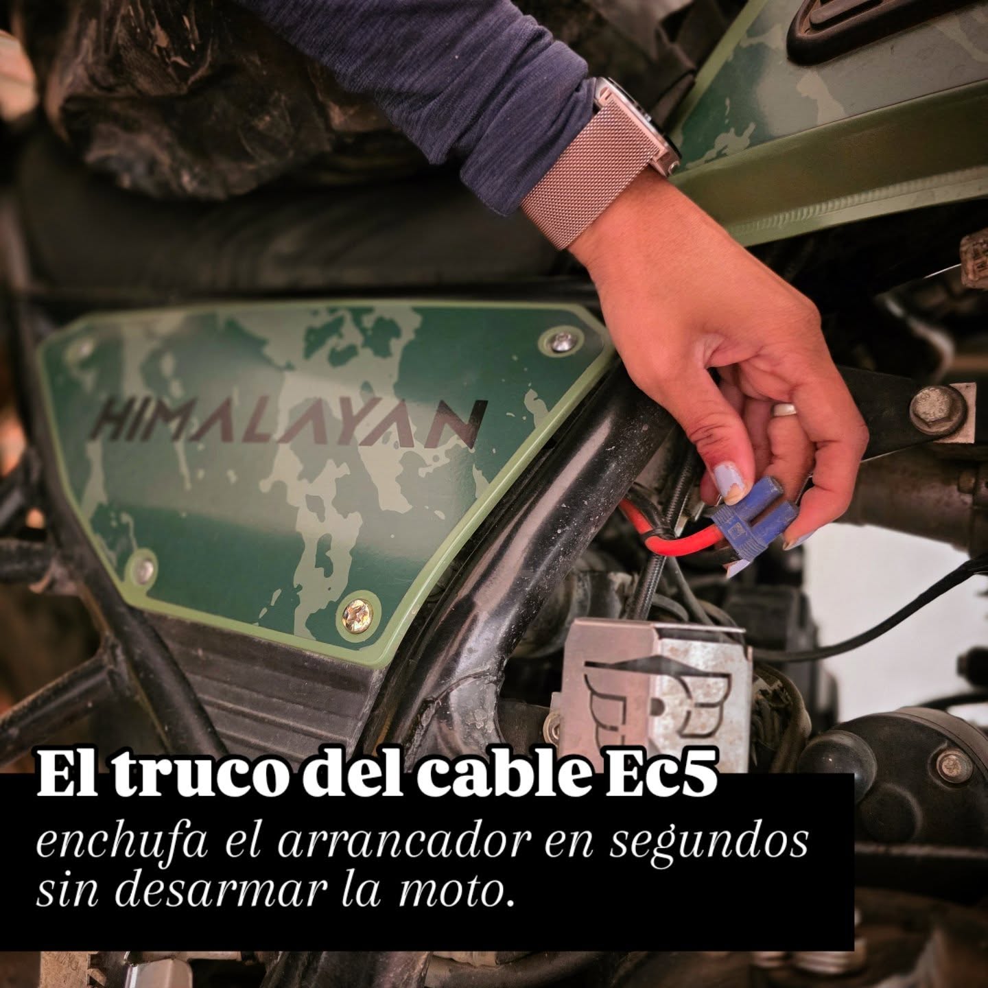 Cable EC5 batería moto